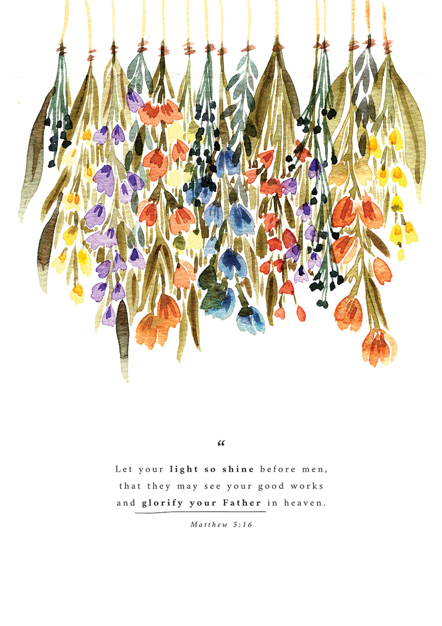 “Shine”
