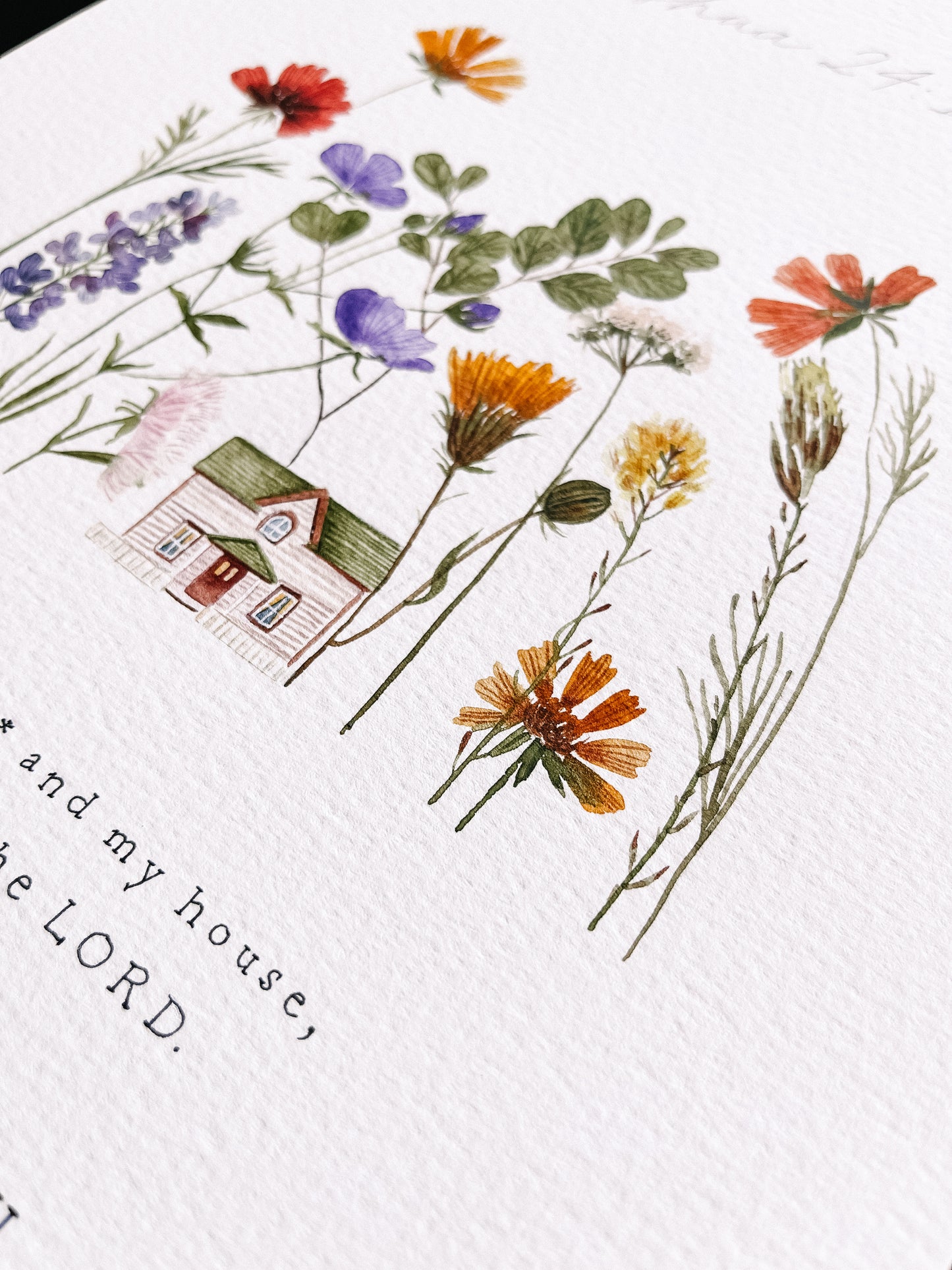 “My House"
