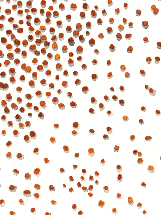 “Mountain Movers”