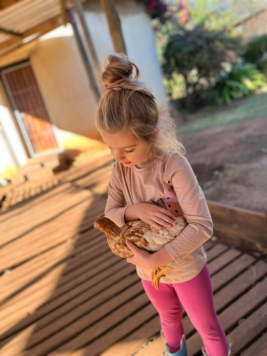 A tale about a Chicken