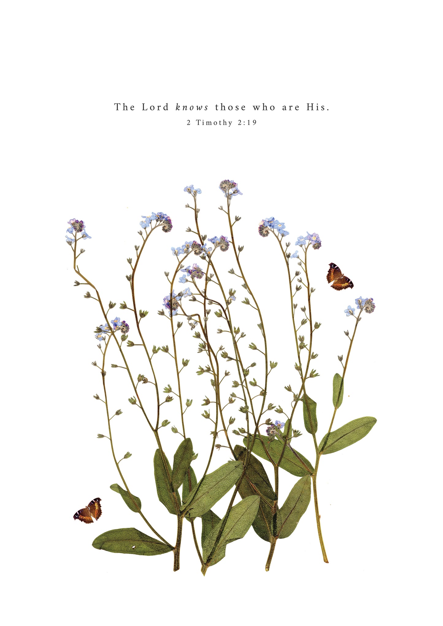 “2 Timothy 2:19”