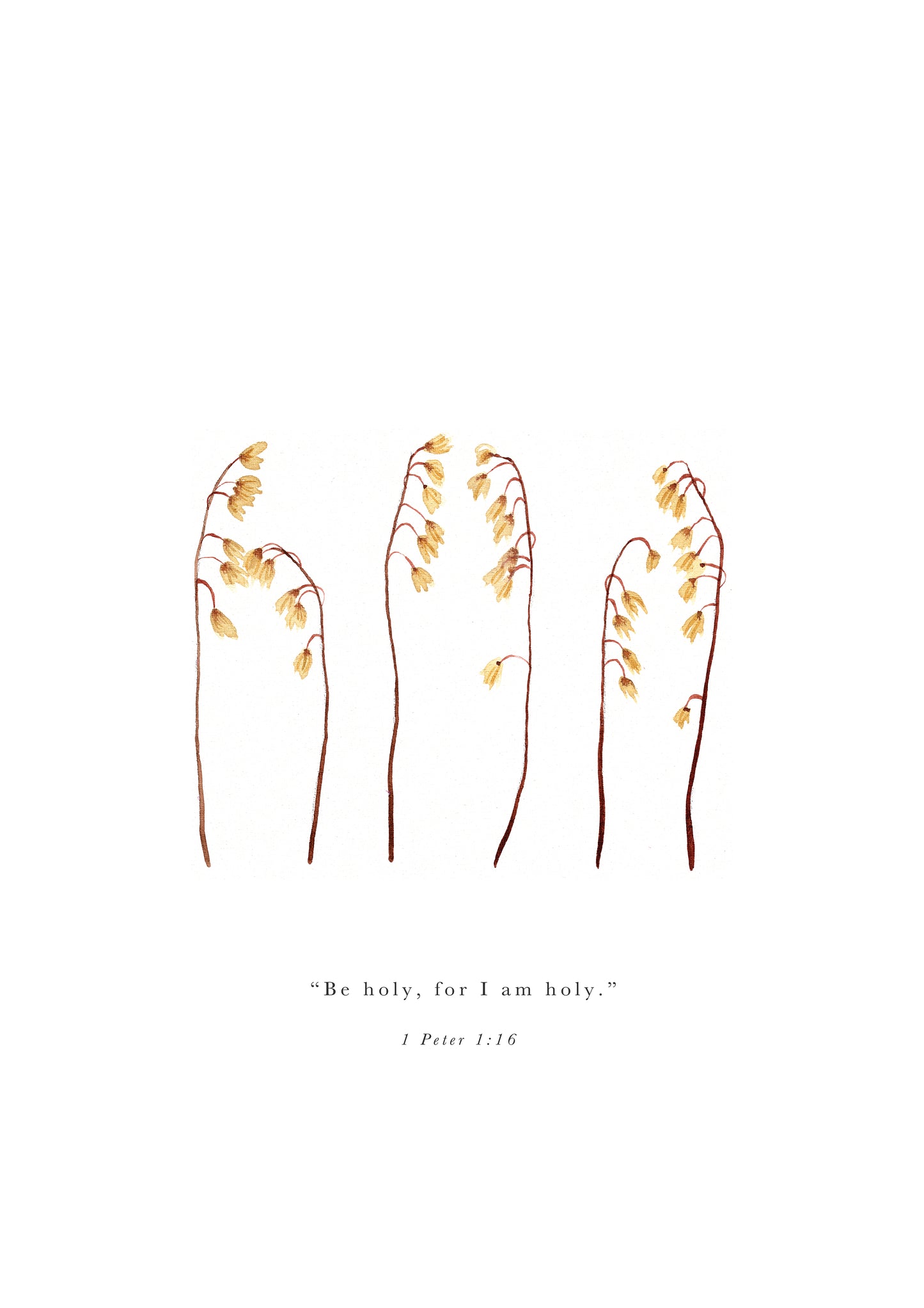 “1 Peter 1:16"